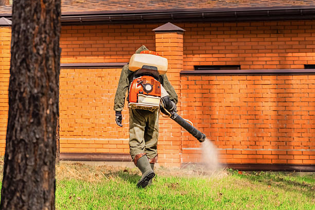 Trusted Cockroach Control service in Waxhaw, NC - Nex Pest Control